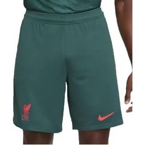 Nike Herenshorts, seizoen 2022/23, officiële derde tricot kit