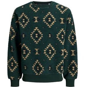 JACK & JONES Joreddie Teddy Crew Neck T25, Pine Grove, XL