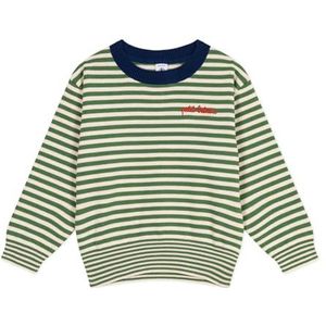 Petit Bateau Jongen trui, Palmentuin/Avalanche, 3 Jaren