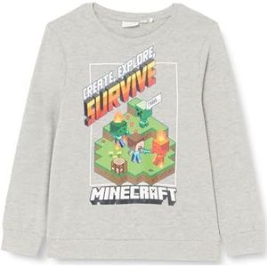 Minecraft kinderkleding shop