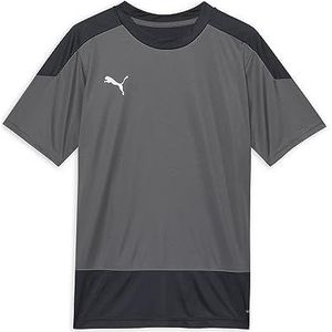 PUMA Unisex Kinder, teamGOAL 23 Training Jersey Jr Trainingstrikot, Steel Gray-Asphalt, 128