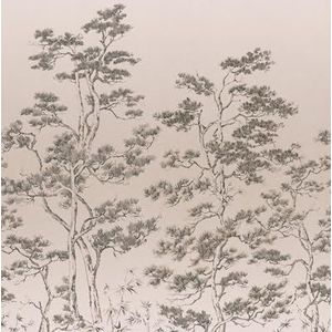 Rasch Behang 360738 - Fotobehang op vlies met bomen in beige en bruin uit de collectie Magicwalls - 2,65 m x 2,12 m (L x B)