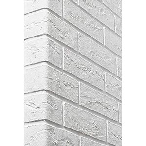 Elabrick Flexibele bakstenen, witte strips, 50 x 210 mm, dunne wandtegels, woondecoratie, eenvoudig te gebruiken als tegels voor buiten