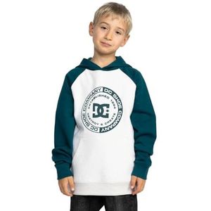Dc Shoes - Corpo Hoodie - Trui - Groen - Katoenmix