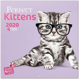 ERIK® Studio Pets Kittens wandkalender/brochurekalender 2020 30x30cm (opengeklapt 30x60cm in staand formaat)