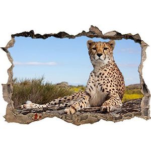 Pixxprint 3D_WD_S2640_92x62 prachtige cheetah in Savanne muurdoorbraak 3D muursticker, vinyl, kleurrijk, 92 x 62 x 0,02 cm