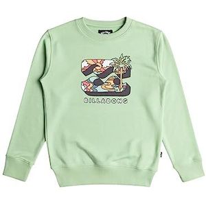 BILLABONG Foundation CR Sweatshirt met capuchon voor jongens (1 stuk)