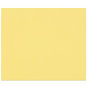 Clairefontaine 960471C tulpenpapier – 100 vellen tekenpapier met gouden knop – A4 21 x 29,7 cm 160 g – ideaal voor tekeningen en creatieve activiteiten