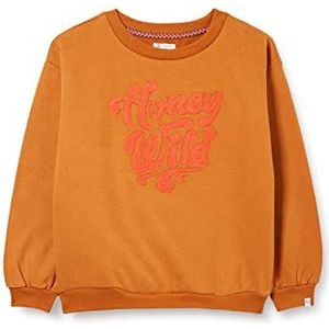 Noppies Kids Meisjes G Sweater Ls Bauru Pullover, Roasted Pecan - P672, 110 cm
