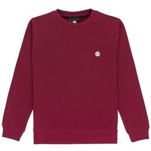 Element Icon Embroidery Sweatshirt 14 Years Jongens