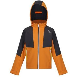 Regatta Jongens Haydenbury Softshelljas, Orange Pepper/Seal Grey, Orange Pepper/Seal Grey, 7-8 Jaar