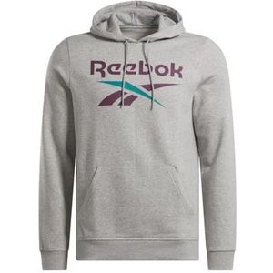Reebok IDENTITY GROTE LOGO FLEECE HOODIE MGREYH/MIDNIGHT PLUM Mannelijke TRAINING SWEATSHIRTS, Mgreyh/Midnight Plum, S
