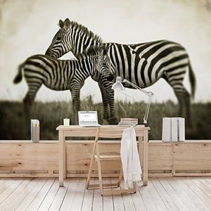 Apalis Vliesbehang Zebrapaar fotobehang breed | vliesbehang wandbehang wandschilderij foto 3D fotobehang voor slaapkamer woonkamer keuken | beige, 94875