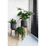 Finestgreen Charlie Feet High | Handgemaakte plantenbak op houten poten (XL Ø: 40 H: 67 cm, zwart)