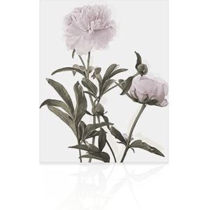 Declea Home Decor CN008SS21 bloemenprint voor dames met bloemen, print op canvas, moderne afbeelding, print op canvas, klaar om op te hangen, met houten frame, meerkleurig, 40 x 60 cm