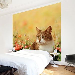 Apalis Kinderbehang vliesbehang kat in klaprozen fotobehang vierkant | vliesbehang wandbehang muurschildering foto 3D fotobehang voor slaapkamer woonkamer keuken | grootte: 192x192 cm, geel, 97765