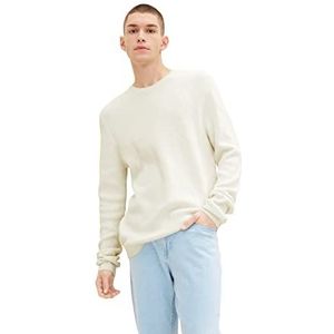 TOM TAILOR Denim Uomini Gebreide trui met structuur 1032325, 10318 - Dark Duck Blue, L