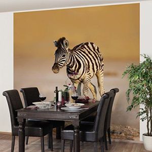Apalis Vliesbehang zebraveulen fotobehang vierkant | vliesbehang wandbehang muurschildering foto 3D fotobehang voor slaapkamer woonkamer keuken | grootte: 336x336 cm, meerkleurig, 98166