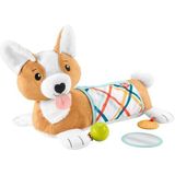 Fisher-Price buikligspeelgoed voor baby's, 3-in-1 pluchen puppy om op de buik te spelen met BPA-vrij bijtrammelaar en spiegelspeeltjes, HJW10