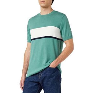 TOM TAILOR Uomini Gebreid shirt met strepen 1032032, 30252 - Salvia Green Off White Stripe, XL