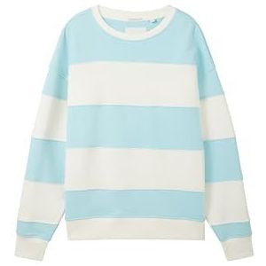 TOM TAILOR Sweatshirt voor jongens, 13117 - Pastel Turquoise, 140 cm