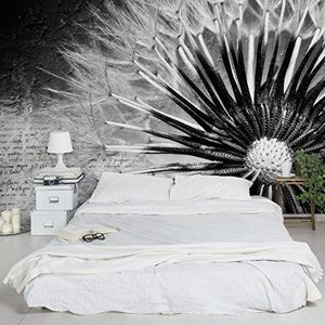 Apalis Vliesbehang bloemenbehang paardenbloem zwart en wit fotobehang breed | vliesbehang wandbehang wandschilderij foto 3D fotobehang voor slaapkamer woonkamer keuken | grijs, 94776