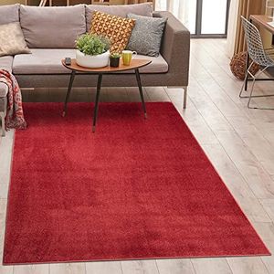 Vloerkleed, woonkamer, hoogpolig, 160x220 cm - rood, effen - super zacht - zachte micro-polyester tapijten slaapkamer - modern, langpolig woonkamertapijten