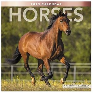 2023 Paarden Maandelijkse Muur Kalender, 16 Maanden, 12 ""x 12"" (LME1591023)