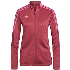 adidas Hemd GP0730 Dames