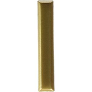 Btv - Eenpolige letter ABS goud (blister)
