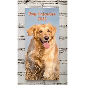 Collins Hond Kalender 2022-390x180mm Wiro Wandkalender