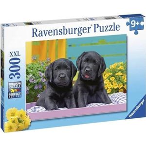 Schattige Puppies XXL Puzzel (300 Stukjes)