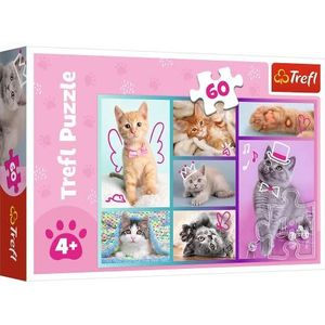 Trefl - Schattige Katjes - Puzzel 60 stukjes - Kleurrijke Puzzels met Dieren, Katten, Collage, Creatief Vermaak, Leuk voor Kinderen vanaf 4 jaar