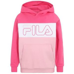 FILA Sunrise Blocked Logo Hoodie voor kinderen, uniseks, Fandango Pink-Roseate Spoonbill-Bright White