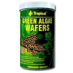 Tropical Visvoer Green Algae Wafers Aquarium 450 g