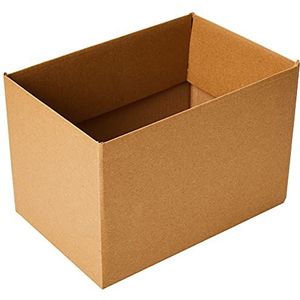 Triplast TPLBX10SINGL9X6X6 Kleine verzenddoos, enkelwandig, 229 x 152 x 152 mm