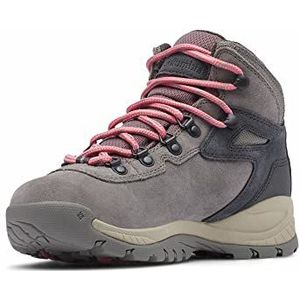 Columbia Women's Newton Ridge Plus Waterproof Amped Leather & Suede Hiking Boot, Stratus/Canyon Rose, 6 Regular US