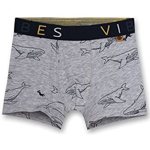 Sanetta Jongens 335626 ondergoed, lichtgrijs melange, 92