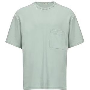 LTB Jeans Negaga T-shirt voor heren, Aqua Gray 12417, S
