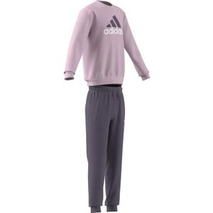 adidas Essentials Big Logo Fleece Jogger Set Trainingspak, Helder Roze/Schaduw Violet/Wit, 9-10 jaar