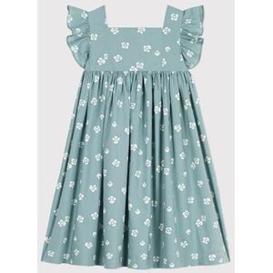 Petit Bateau Mouwloze jurk voor meisjes en meisjes, Groen/Wit, 12 Jaar