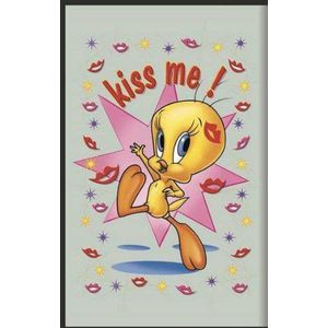 empireposter 619464 Looney Tunes Tweety Kiss Me bedrukte spiegel met kunststof frame afmeting 20 x 30 cm
