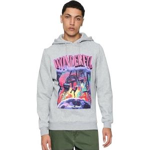 Mister Tee - Wonderful Hoodie trui Grijs