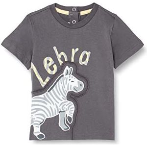 Chicco T-shirt met korte mouwen voor kinderen, grijs, normaal voor jongens, Grijs, 3 Maanden
