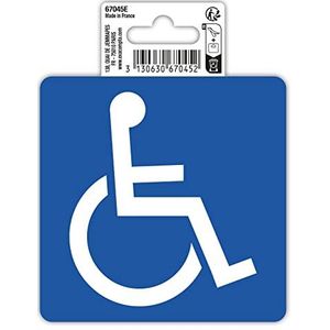 Exacompta - Ref. 67045E - 1 zelfklevend pictogram voor gehandicapten - In antislip PVC vinyl - Glanzende afwerking - Afmetingen : 10 x 10 cm Kleur : wit op blauwe achtergrond