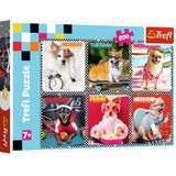 Trefl Puzzel, Happy Dogs, 200 elementen, voor kinderen vanaf 7 jaar