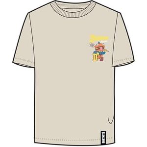 Nkmalfred Fortnite Nreg Ss Top Box Bfu, Turtledove, 116