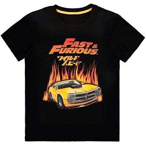 Difuzed Universal Fast & Furious Hot Flames T-shirt voor heren