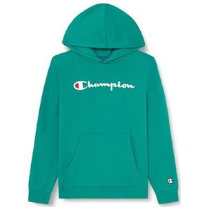 Champion Legacy Icons B-Ultralight Fall Fleece Sweatshirt met capuchon voor kinderen en jongens, Bos Groen, 9-10 jaar