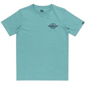 Quiksilver T-Shirt Jeugd Blauw 8